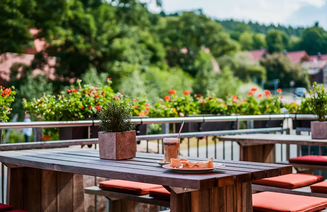 Hotel Villa Bodeblick-1